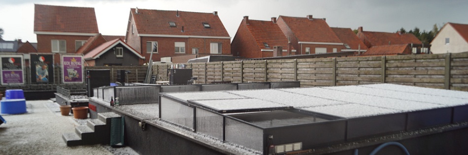 Het ging er heftig aan toe