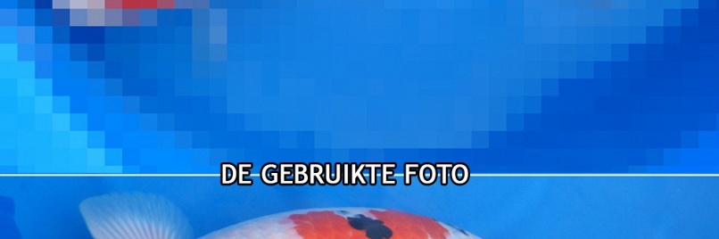 Het is me gelukt
