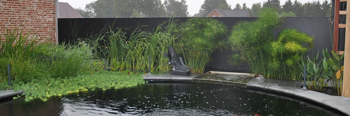 Het luxe resort