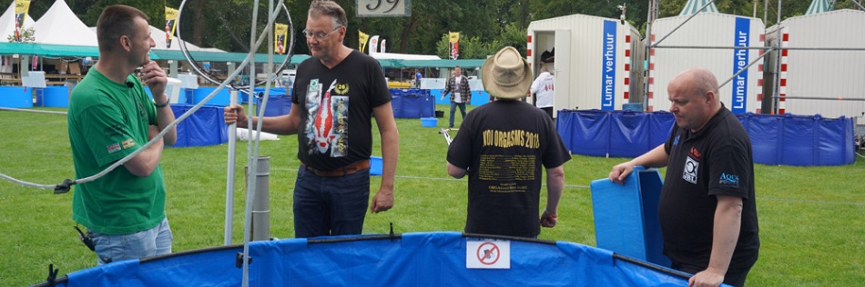 Het mekka van de koishow, Arcen