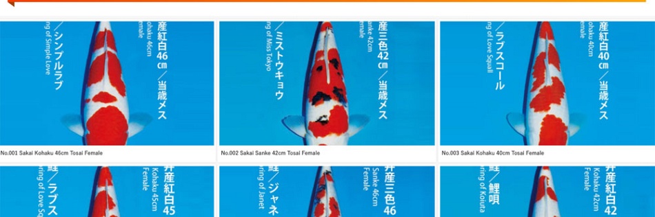 Het Narita event op 29 april