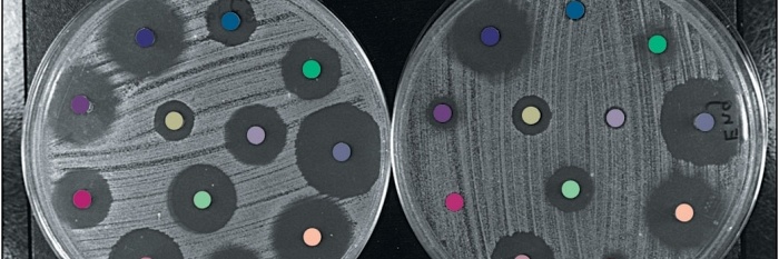 Het nemen van een Antibiogram