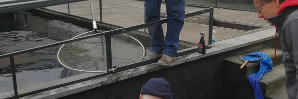 Het was me het dagje wel
