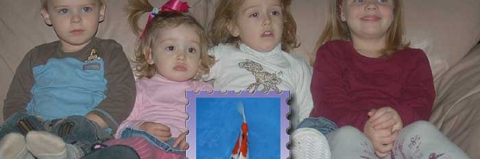 Ik zoek 2 onafhankelijke vrijwilligers