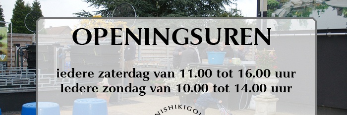 Informatie over openingsuren