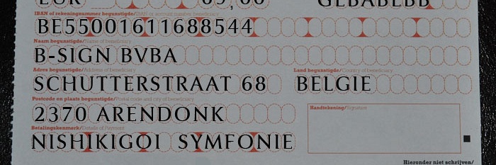 Internationale overschrijving