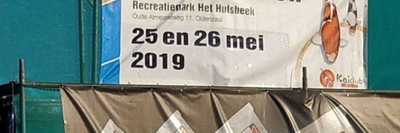 Jou koi in een show