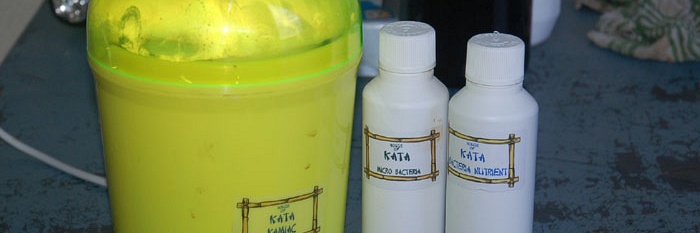 Kamiaccen