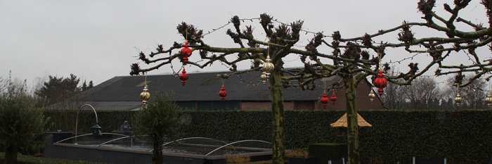 Kerst bij de groeivijver