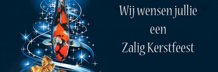 Kerstmis 2012