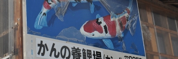 Kleinere showa
