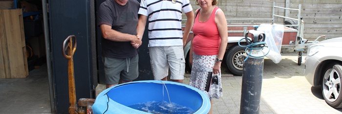 Koibemiddeling