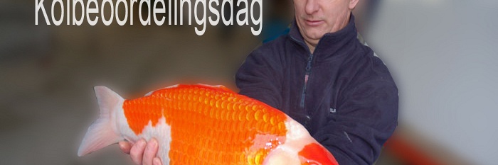 Koibeoordelingsdag
