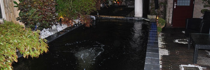 Koiliefhebber in hart en nieren