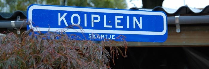 Koiplein