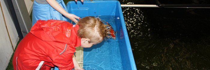 Koninginnedag was perfect