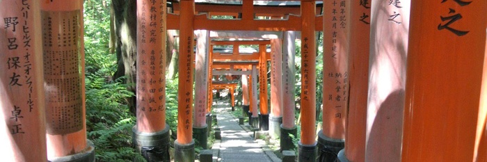 Laatste dag kyoto