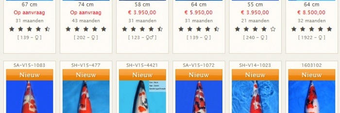 Laatste mogelijkheden