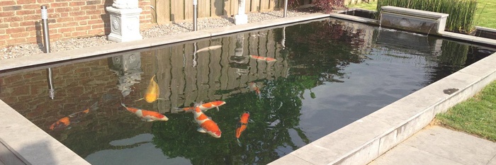 Langzaam maar zeker
