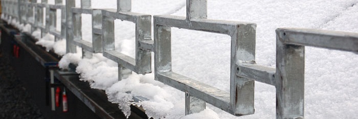 Lekker rondzwemmen ondanks de winter