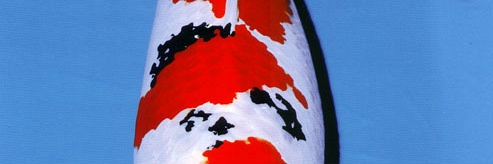 Matsunosuke Sanke