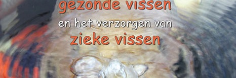 Meer over het houden van gezonde vissen en het verzorgen van zieke vissen