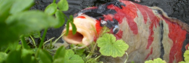 Meten is weten (3)