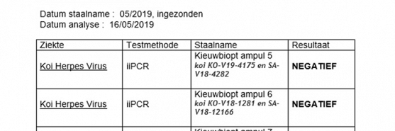 Mijn opdracht is vervuld