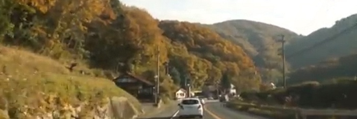 Minitrip door Japan