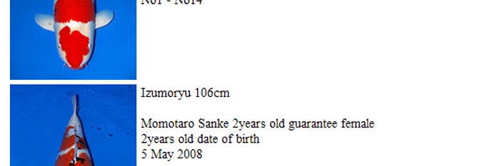 Momotaro auction 17 november: sanke
