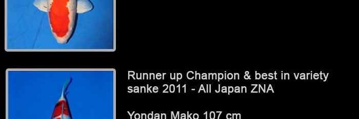 Momotaro veiling 19-20 februari - Sanke