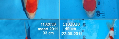 Mooi vergelijkingsmateriaal