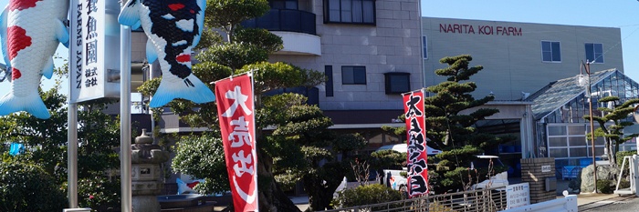 Narita Opensales