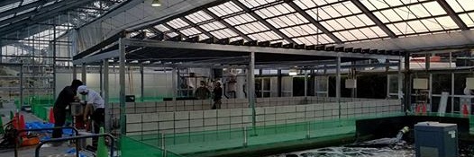 Narita x Sakai, de ideale combinatie