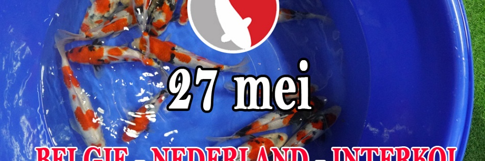 Nederland België Interkoi