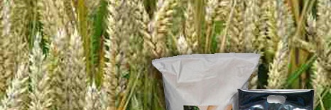 Nedkoi over Wheat Germ