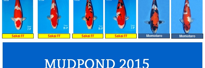 Nieuwe aankomst volgende week