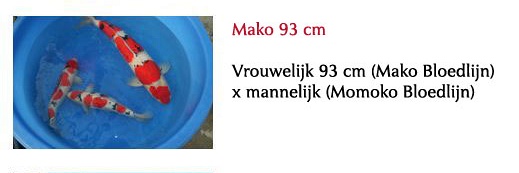Nieuwe kweekseizoen bij Momotaro