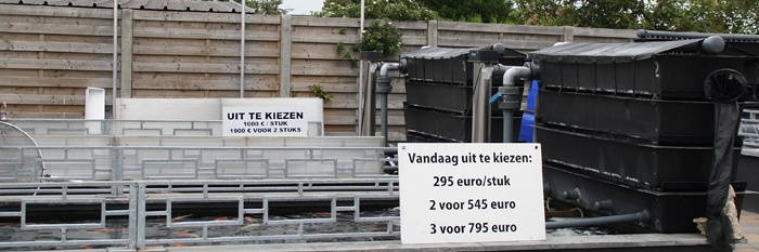 Nog een laatste lap erop...