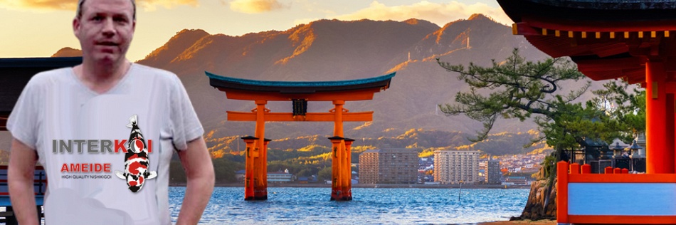 Nog even en we gaan weer naar Japan