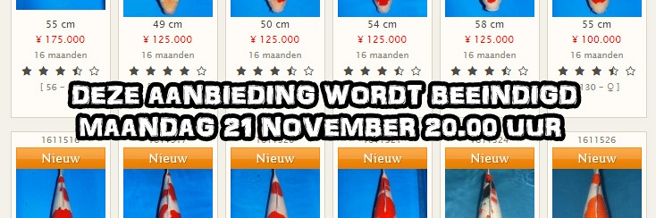Nog slechts 13 koi te gaan