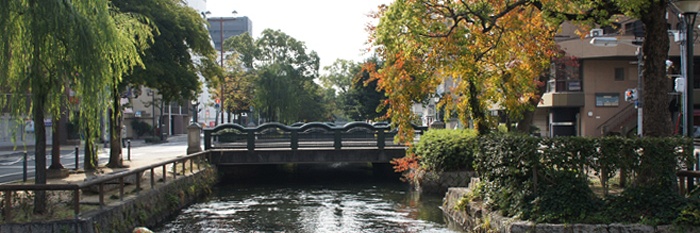 Ochtendwandeling
