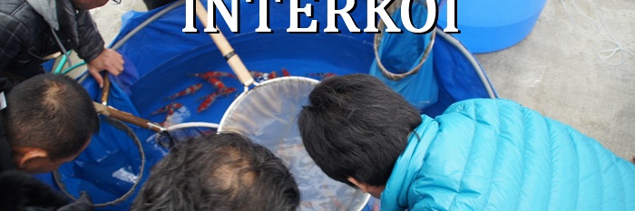 Open Sales op Japanse manier