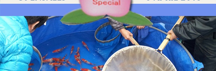 Opensales zaterdag 6 april