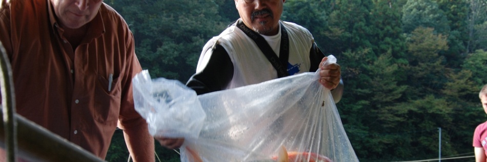 Opmerkelijk aanbod nog in Japan