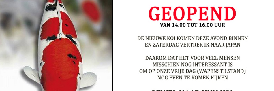 Opmerkelijke veiling van Momotaro