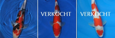 Overzicht groeivijver