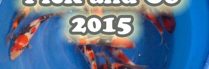 Pick and Go 2015