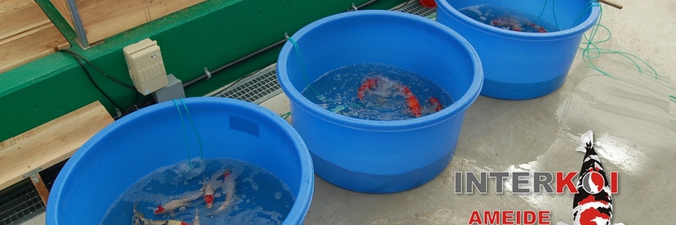 Presentatie bowls voor zaterdag 5 september