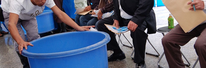 Prijzen veiling